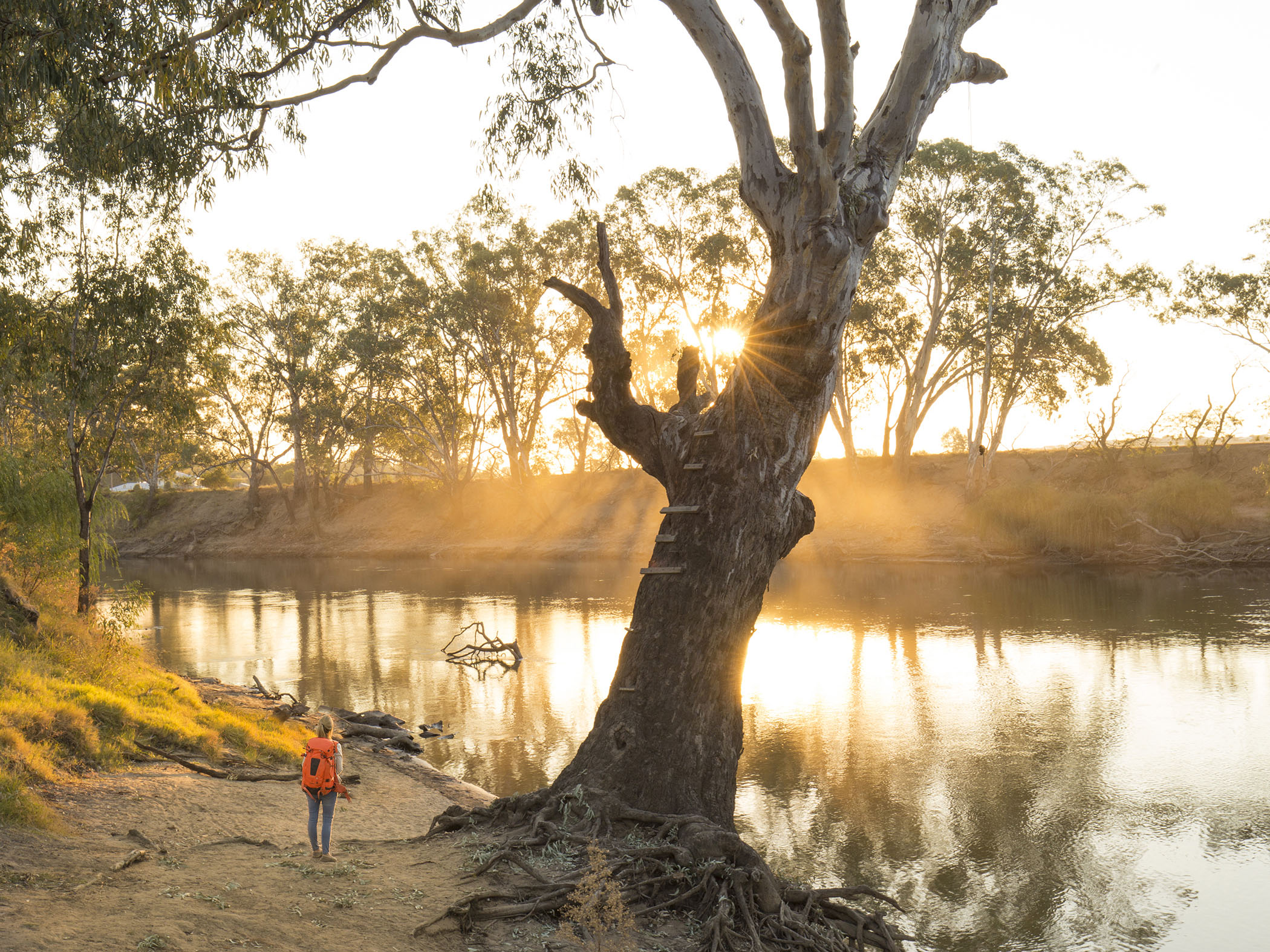 Murrumbidgee River at Wagga Wagga
